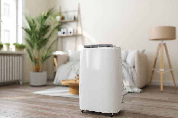 Best Local HVAC companies  in Cobb Island, MD